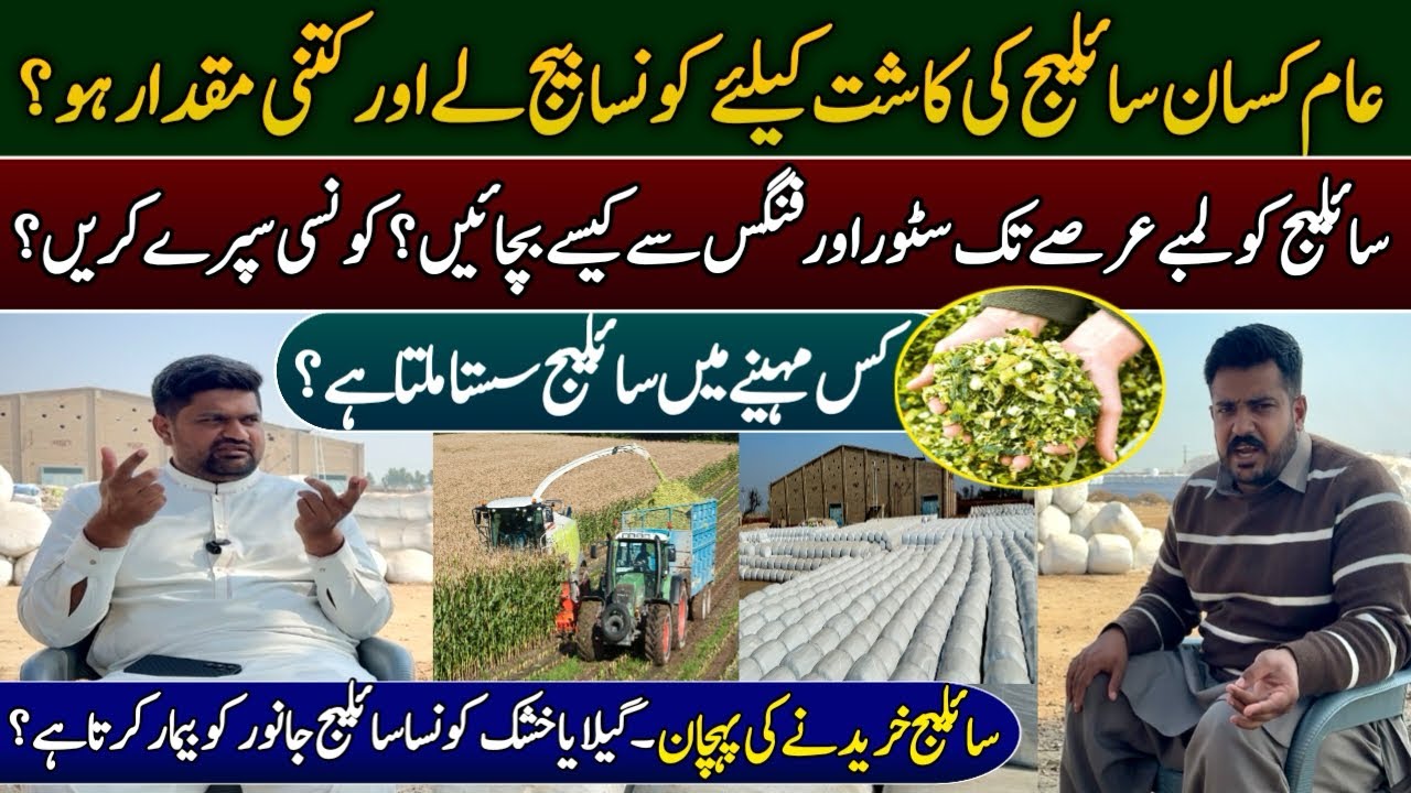 How to make silage | silage making process full detail | dr rizwan about silage | farmology 