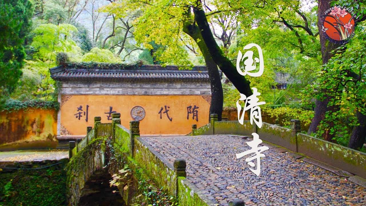 【天台国清寺】十分钟了解千年古刹，探寻佛教文化的精髓！#文化遗产 #浙江