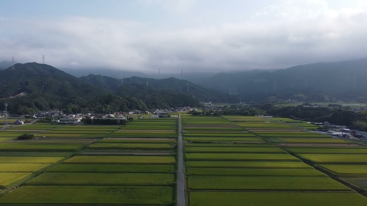 福岡市早良区脇山の田園風景