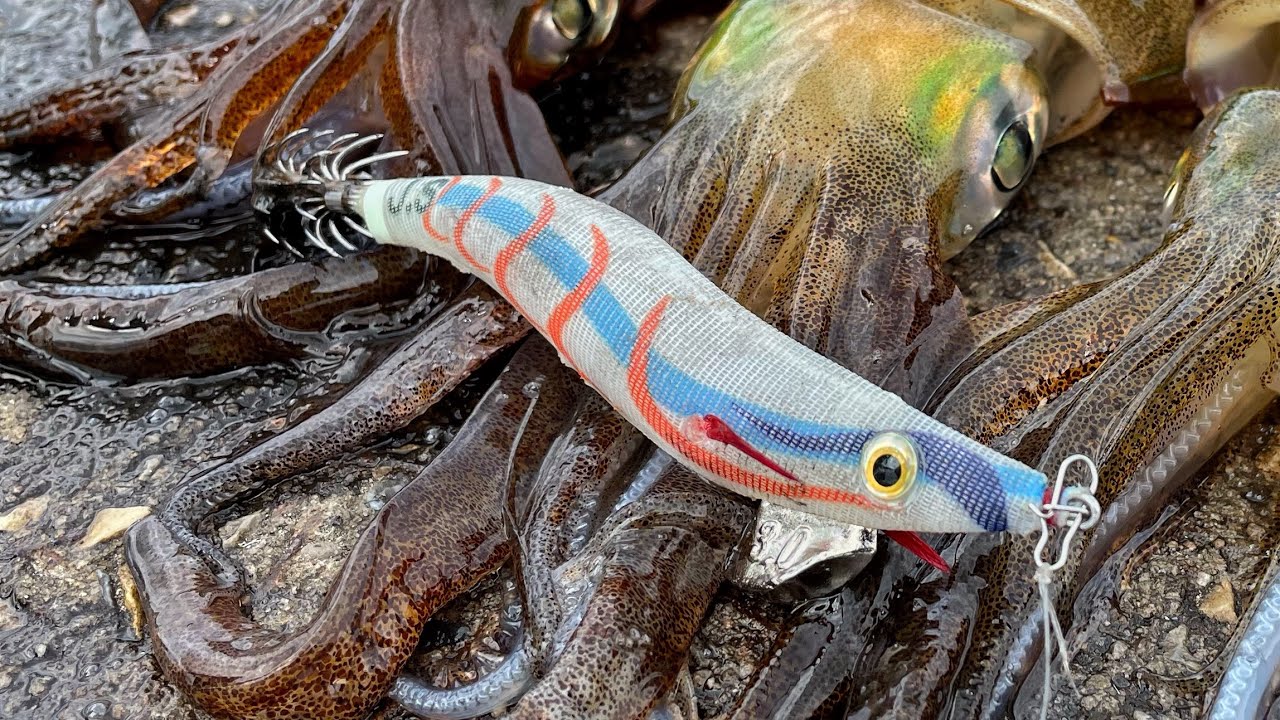 This Squid Jig Caused A Frenzy!!