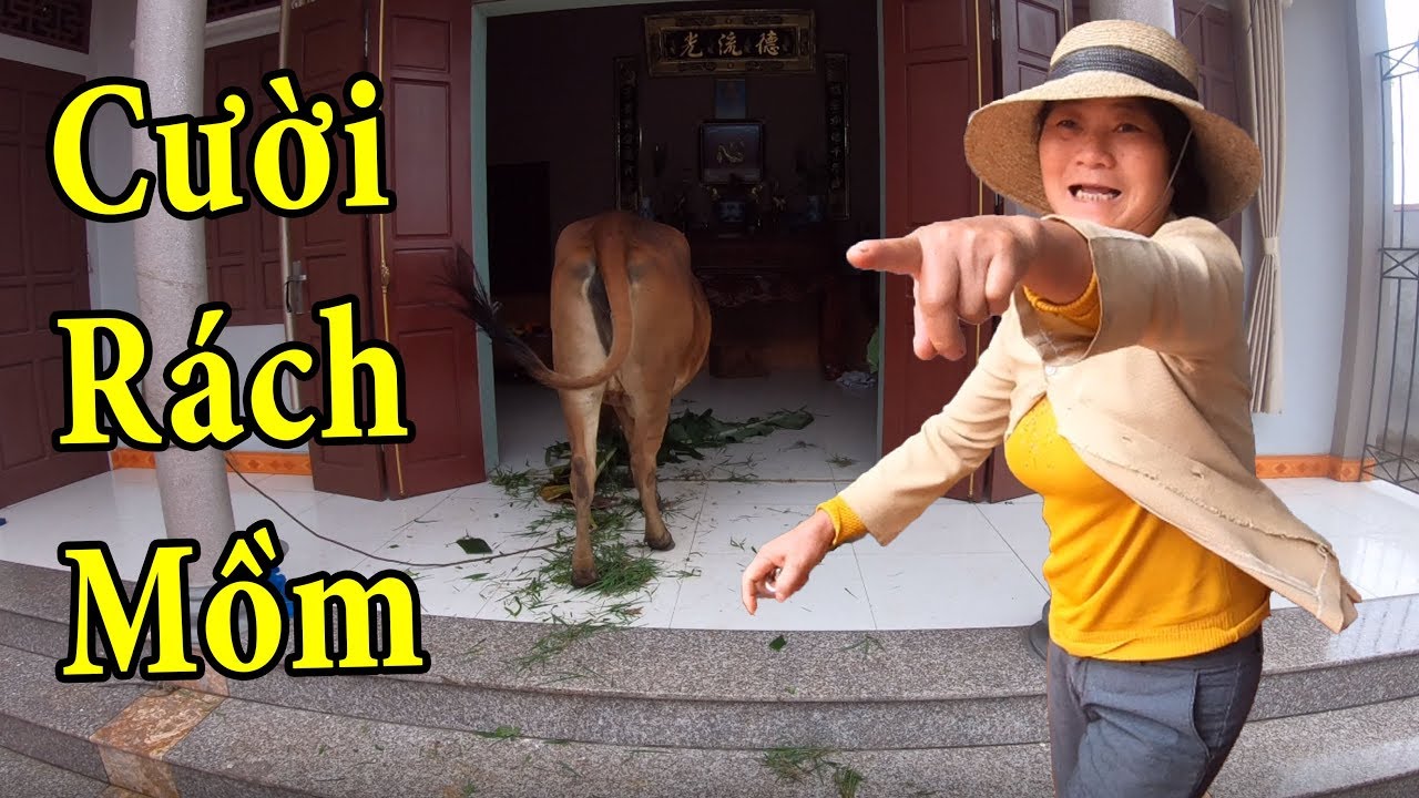 PHD | Dắt B&ograve; V&agrave;o Nh&agrave; Troll Mẹ | Prank Mom