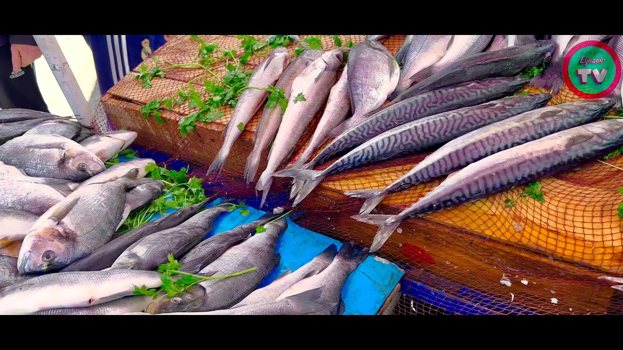 #collo #fishmarket #skikda #ramadan 2022 #algeria #4k  سوق #السمك بمدينة #القل #سكيكدة #الجزائر