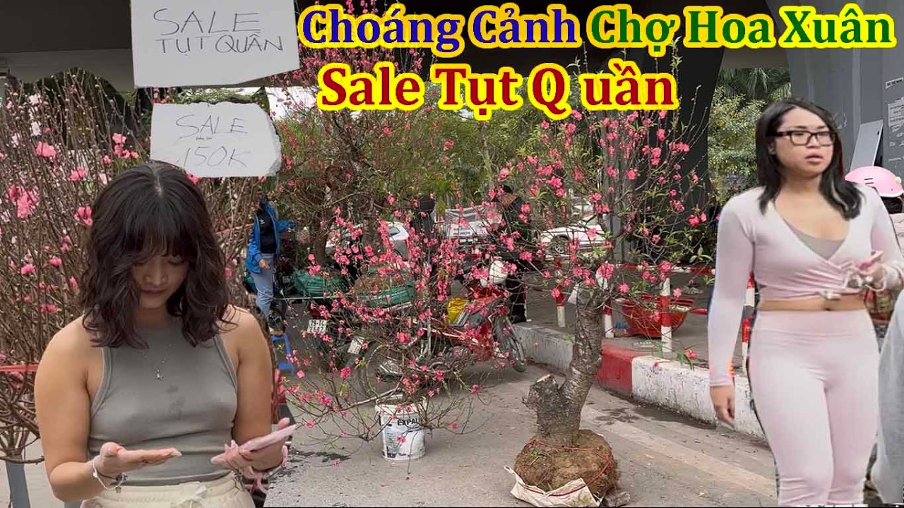Choáng Cảnh Chợ Hoa Xuân Hoàng Hoa Thám SALE Tụt Quần Xuân Bính Ngọ 2026