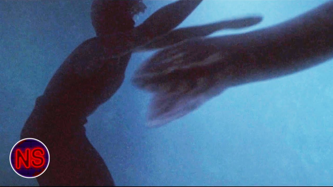 HUGE Snack Drags Man Under Water | Anacondas: The Hunt For The Blood Orchid | Now Scaring