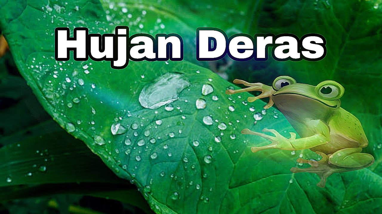 Hujan Deras di Kampung ku | Heavy Rain In my Village