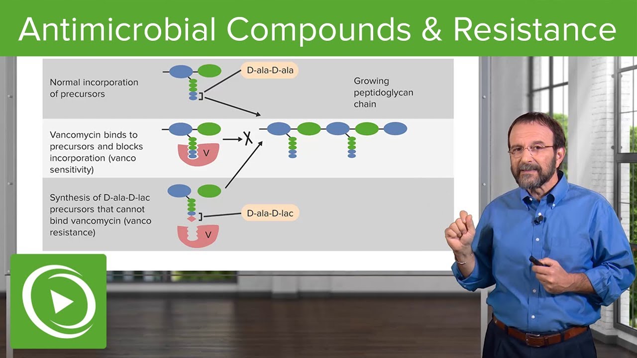 Antimicrobial Compounds & Resistance – Microbiology | Lecturio