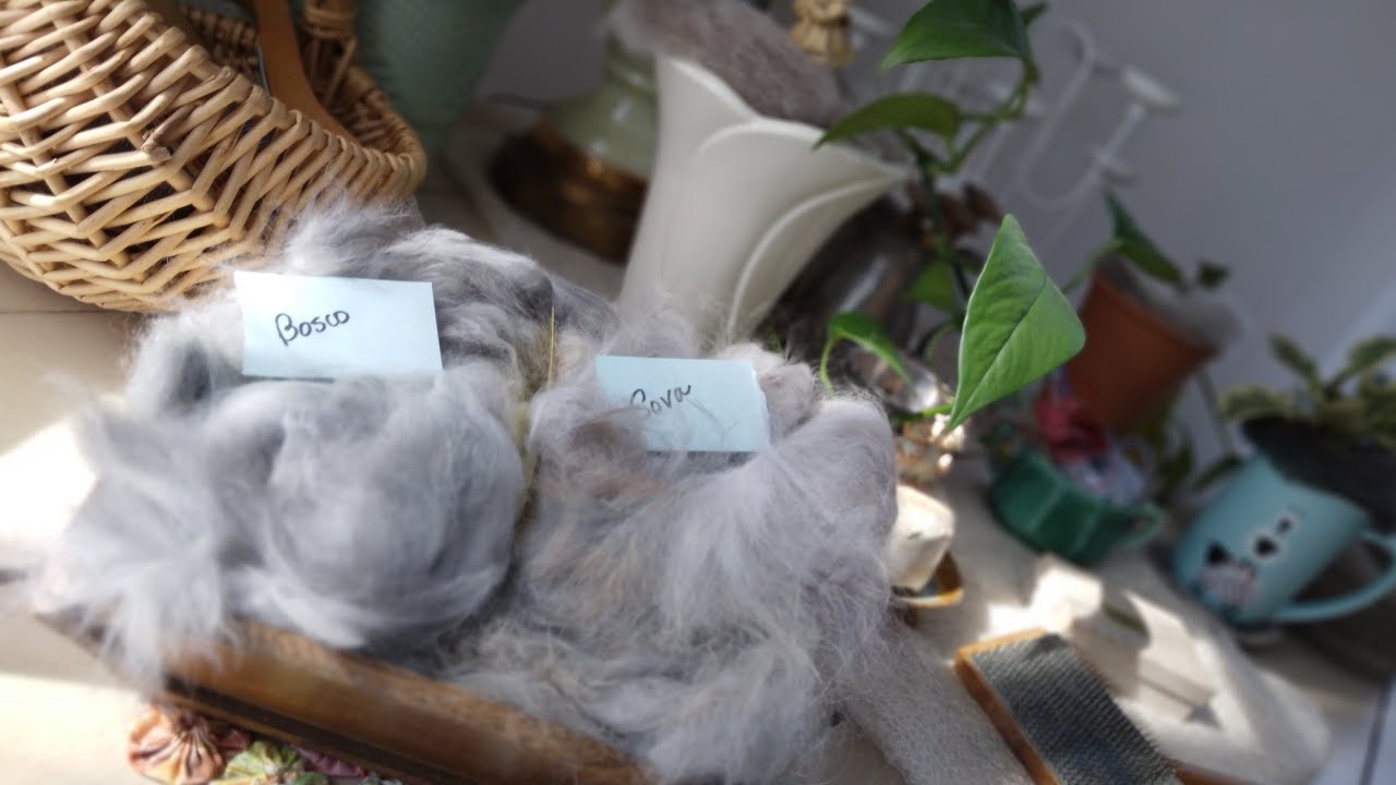 Socks, Snow and Spring - a sheep farm vlog
