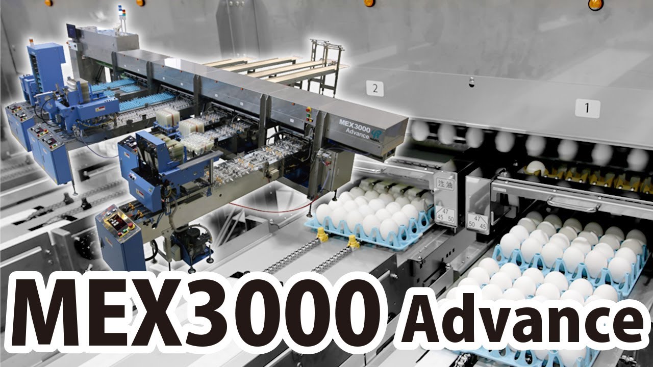 【NABEL】Egg Grading Machine  MEX3000 Advance ≪30,000eggs/hr≫