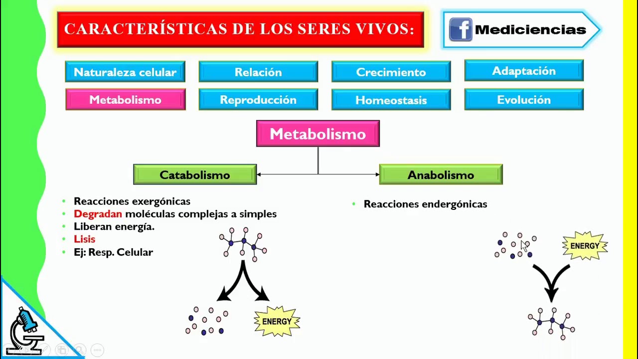 INTRODUCCIÓN A LA BIOLOGÍA // DAVID ERRE