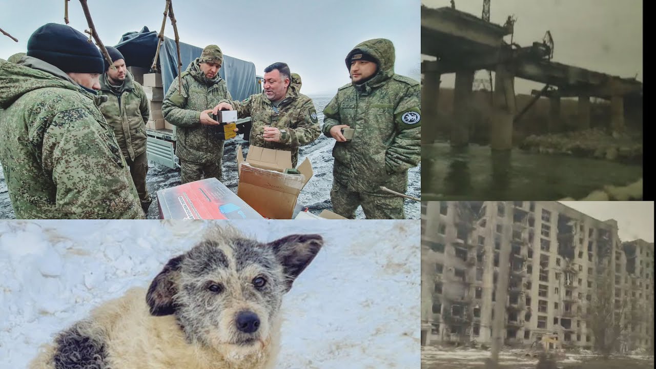 Гуманитарка из Казани в СВО, покормили бездомных собак, посетили Лисичанск, Северодонецк