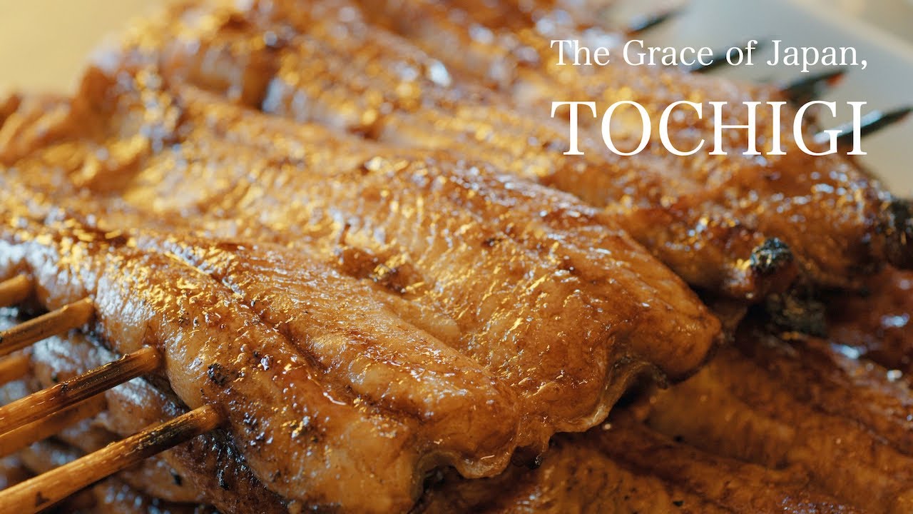 Geo Gastronomy 