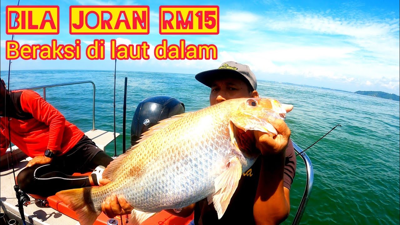 Rezeki Joran RM15 Di Laut Dalam//FRRTC Fishing Rod Carbon Fiber #gengdunia