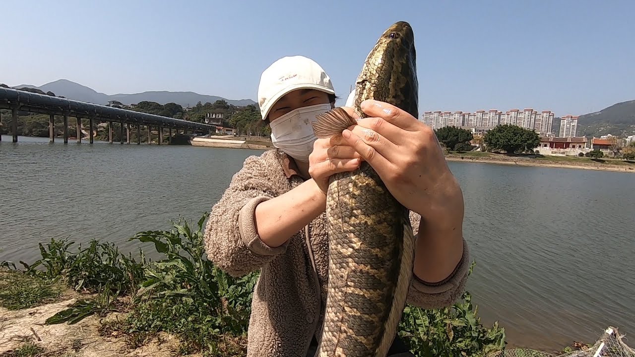 猪猪收到皮皮小道消息，立马去现场抓鱼，龙虾螃蟹啥都有爽歪歪了