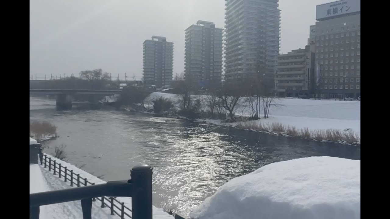 Sendai to Morioka and back again, Japan January 14, 2026