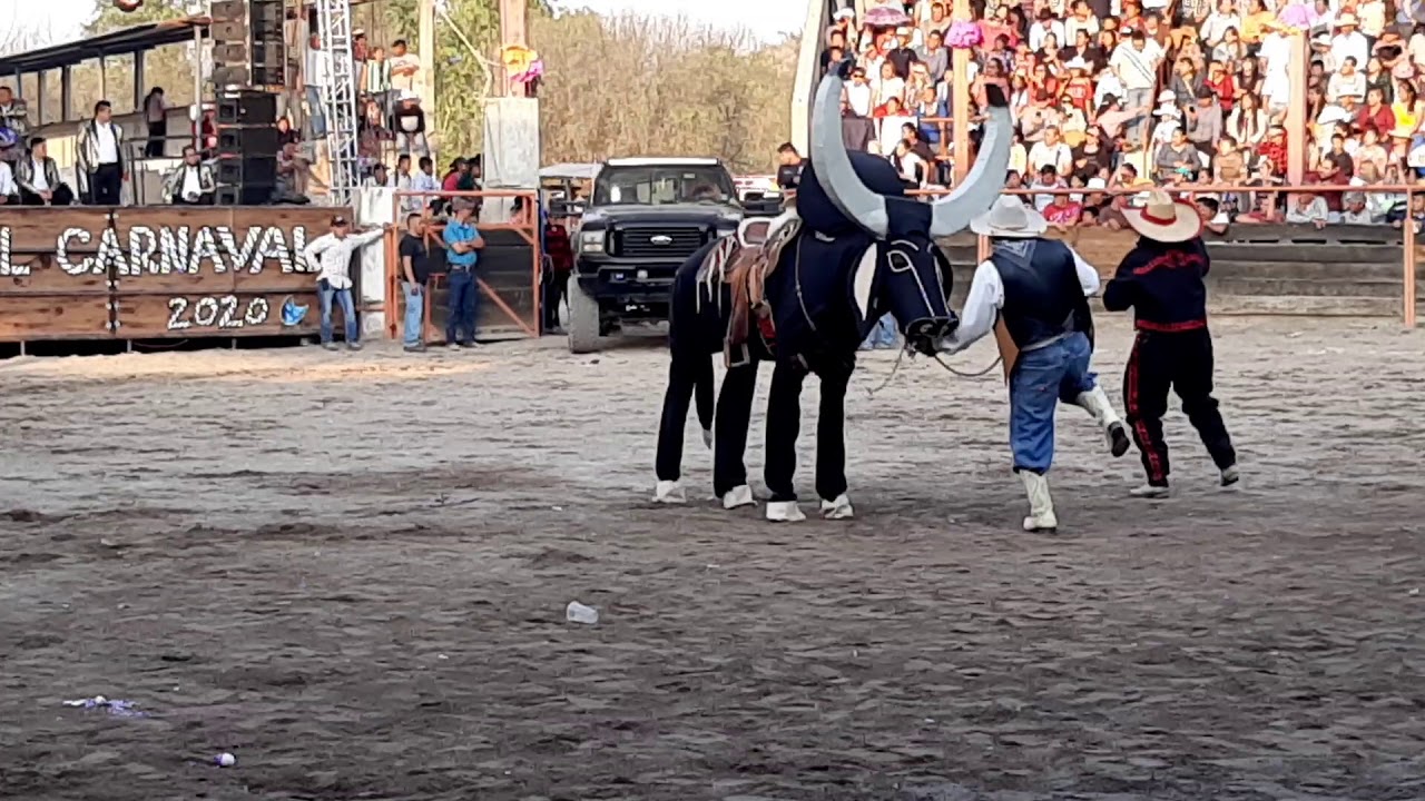 CARNAVAL SAN ANTONIO TECOZAUTLA 2020