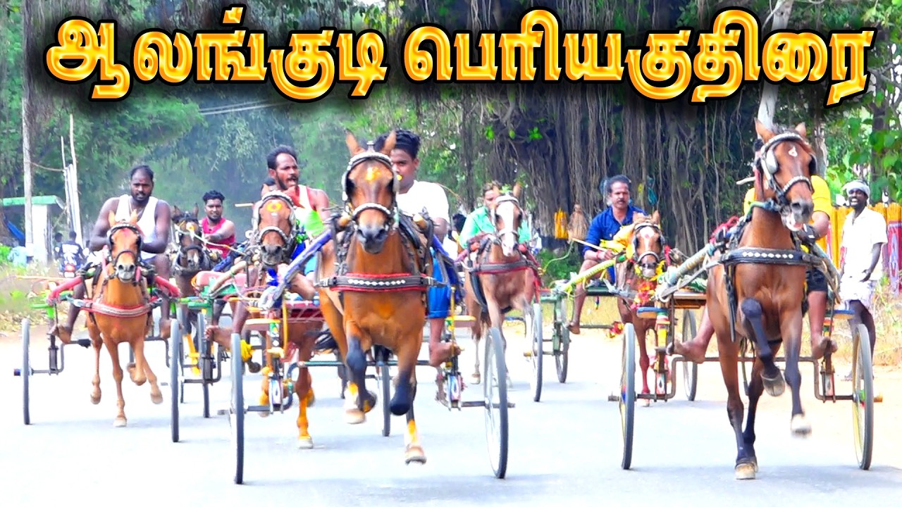 ஆலங்குடி பெரியகுதிரை பந்தயம் 08.03.2026