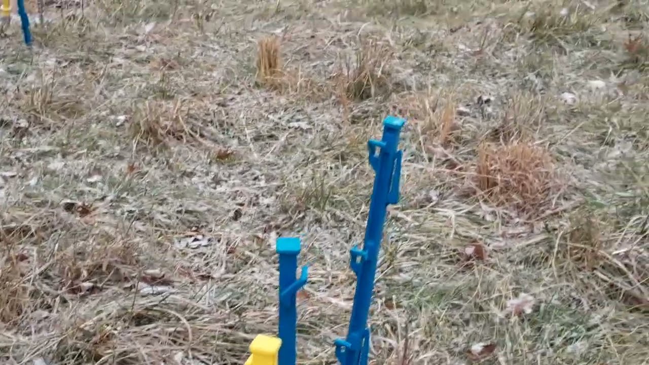 EP 227 Fern's snow has arrived.
