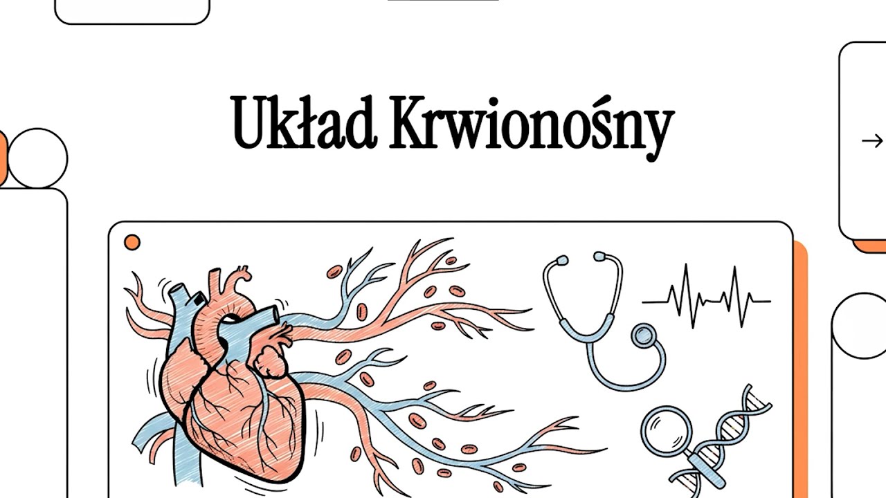 Student Pielęgniarstwa - Układ Krwionośny | Interna