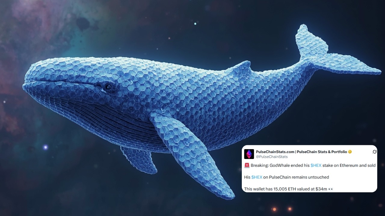 BREAKING: GODWHALE ENDS ETHEREUM HEX STAKE ⁉️