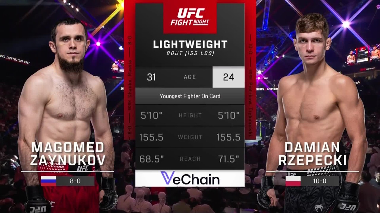 SKR&Oacute;T WALKI: ZAYNUKOV - RZEPECKI | UFC FIGHT NIGHT 282