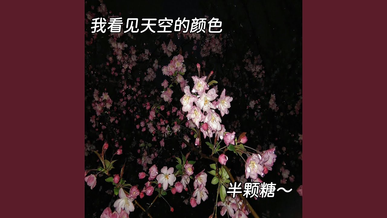 月光森林