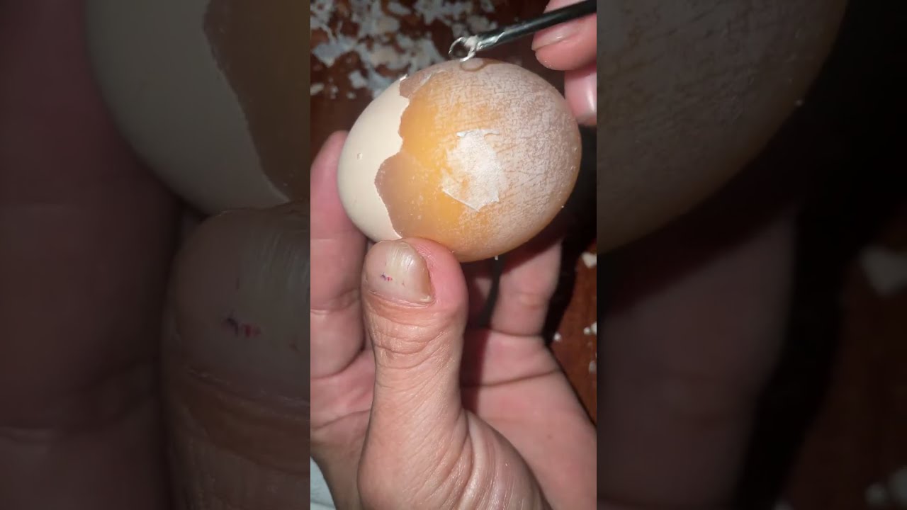 Raw Egg Peeling Challenge #55 #egg #funyvideo #satisfying