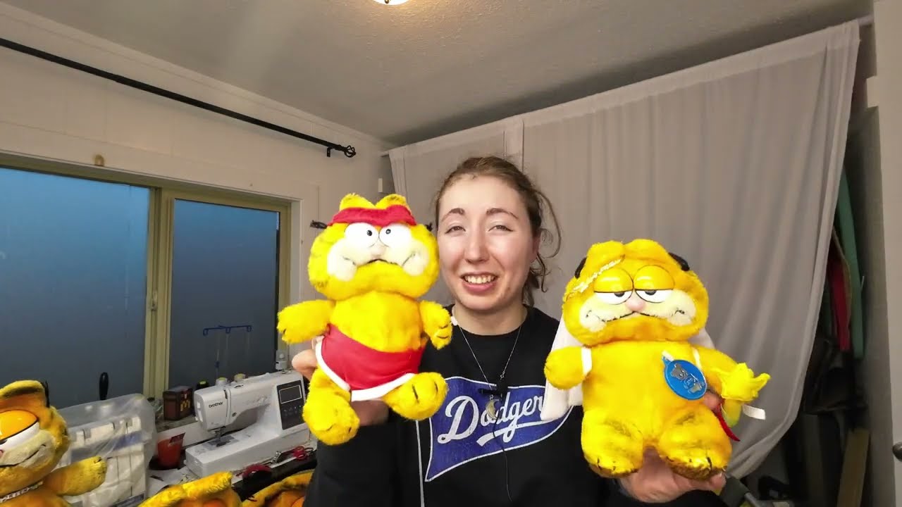 My Garfield Collection!