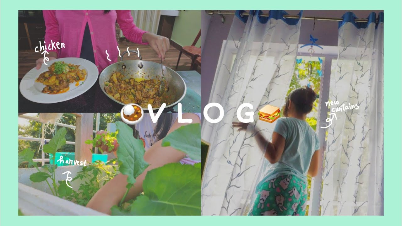 Naga girl makes egg curry, chicken, egg sandwich🍚🍗/ changing curtains/ Indian high school student