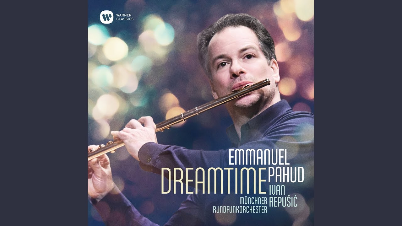 Flute Concerto in D Major, Op. 283: II. Lento e mesto
