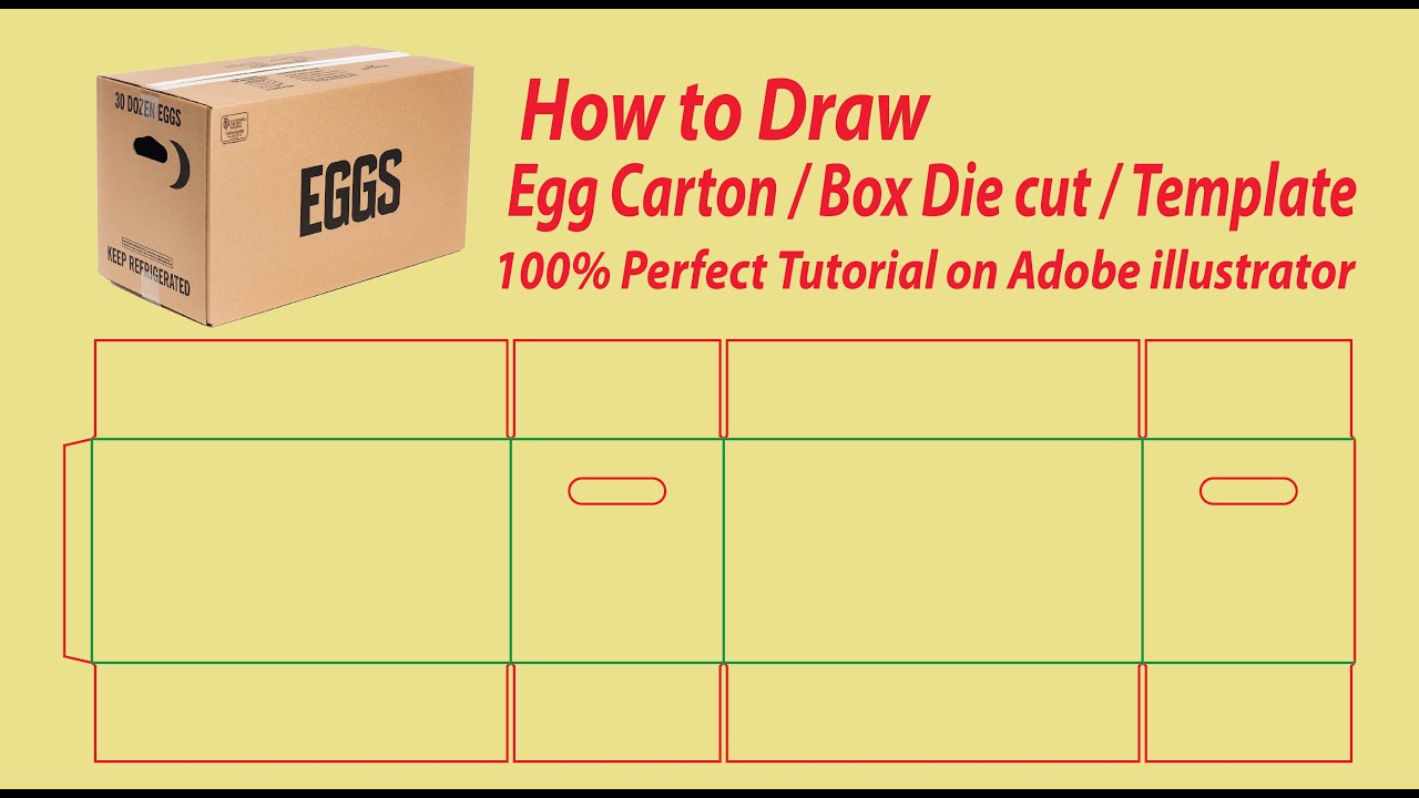 How to Draw corrugated box die cut / Dieline / Template for egg packaging