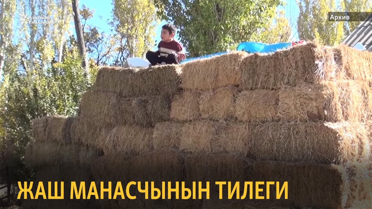 Жаш манасчынын тилеги