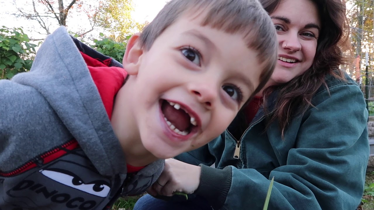 Lettuce and Peas and Christmas Trees | VLOG | Roots and Refuge Farm