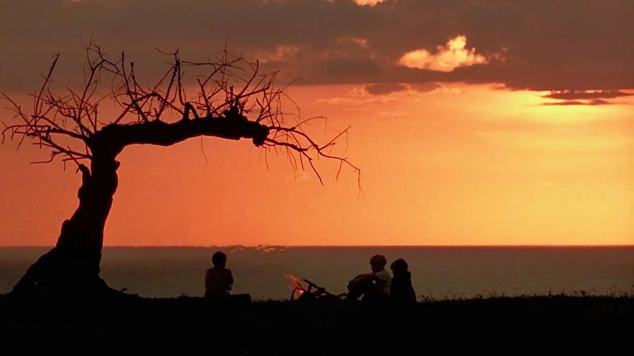 The Beautiful Photography of Lord of the Flies (1990)