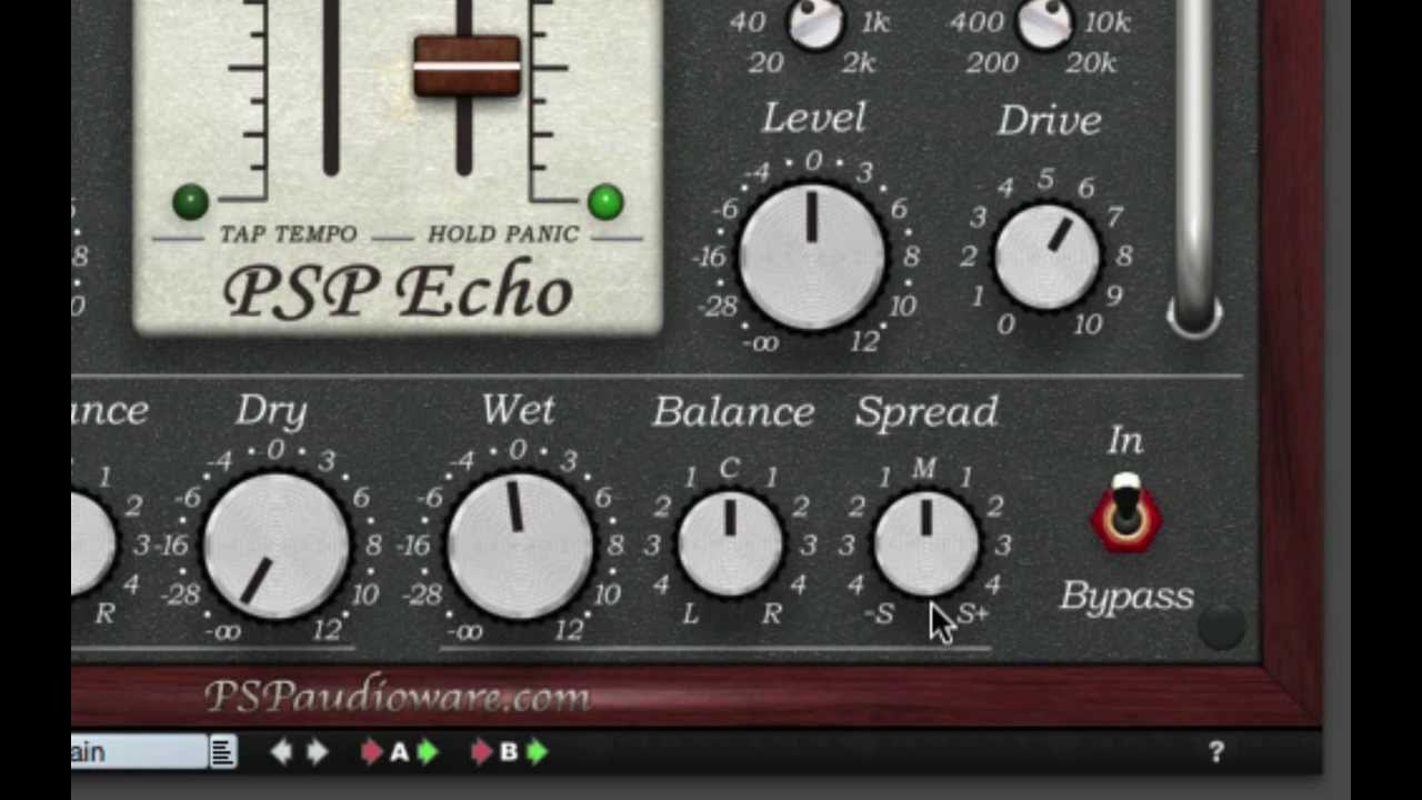 PSP Echo a creative and easy-to-use tape delay!