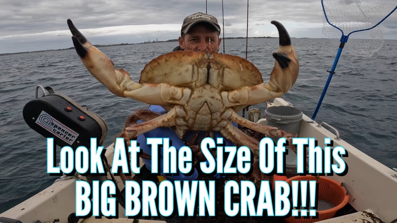 BIG CRABS & BIG LOBSTERS: 2 Weeks Fishing on the SEABED!!!!
