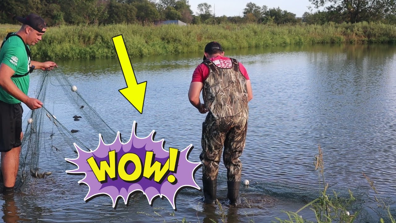 WE COULDN'T BELIEVE WHAT WE CAUGHT WHILE SEINING THIS POND!!