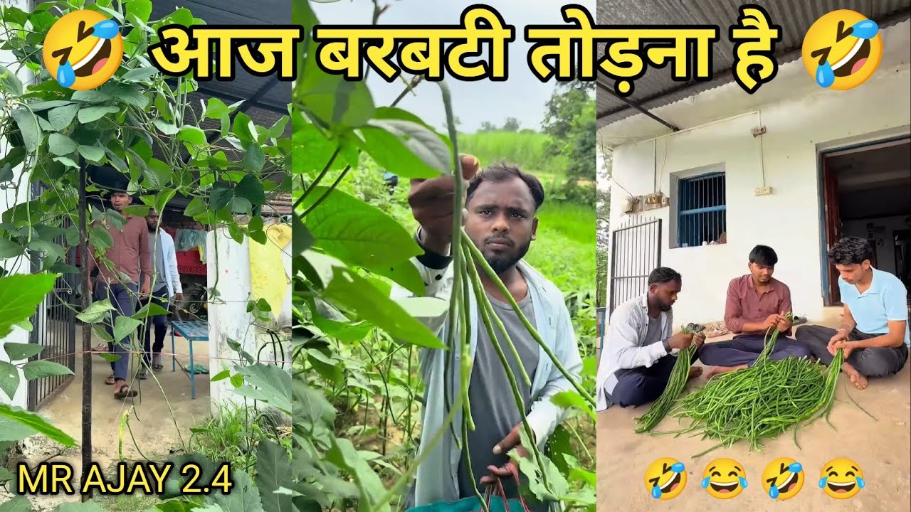 Aaj Barbati Todna Hai 😂😂 Dono Chor Nikle 🤣Harsh Pusptode Comedy | Mr Ajay 2.4 !! #comedy #funny 