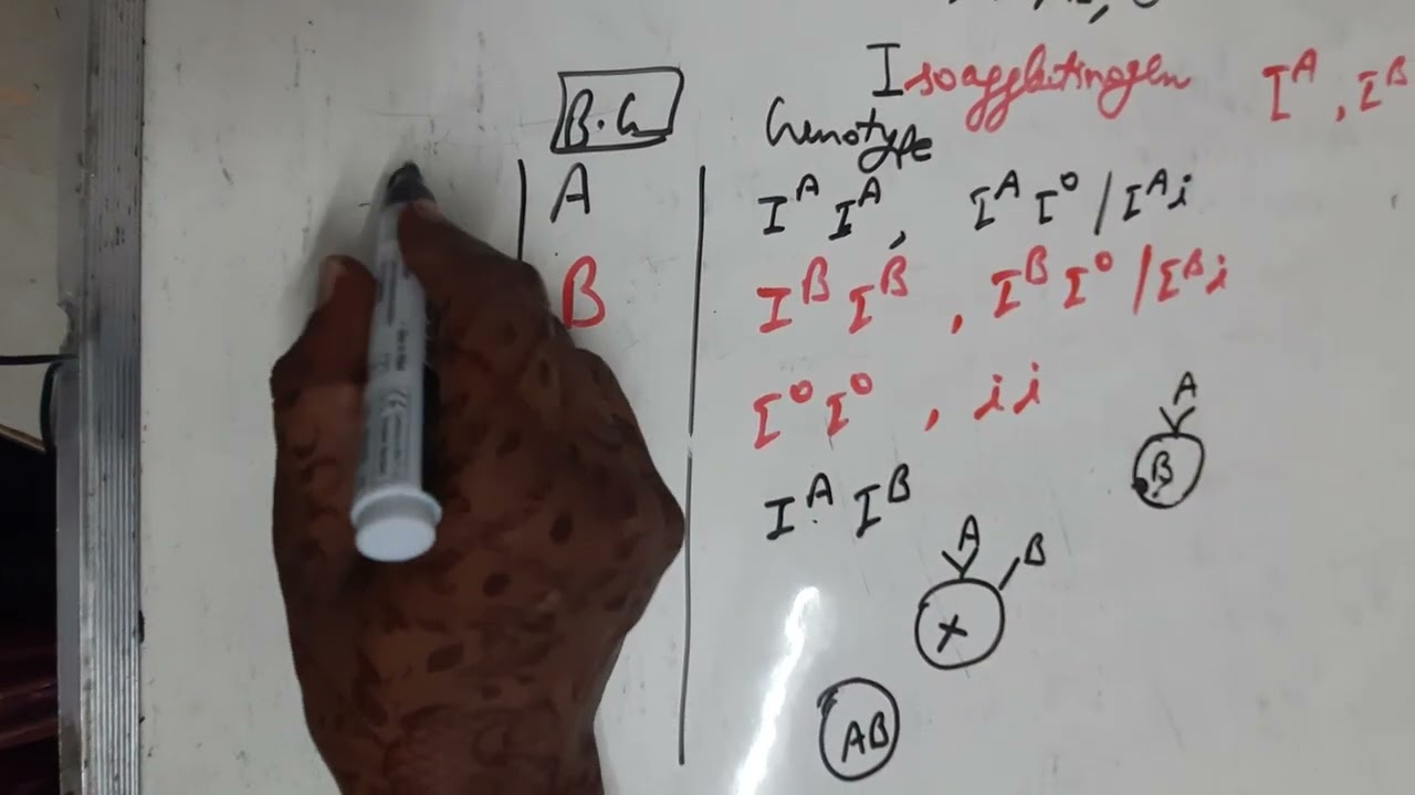 Deviation from Mendel's laws with examples