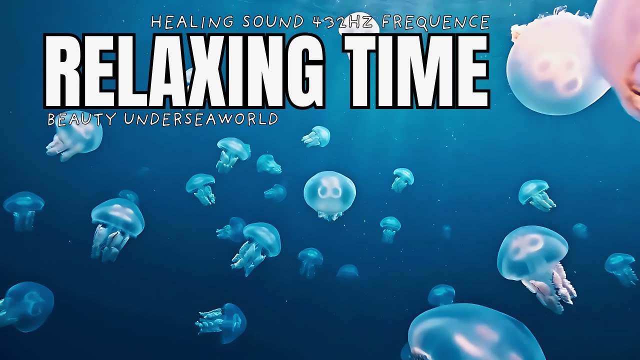 Peaceful Ocean POV 🌊 Stress Relief Visuals
