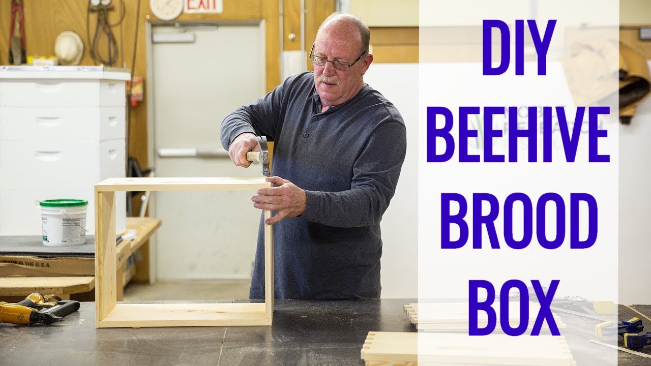 DIY: How to Build a Beehive's Brood Box and Foundation