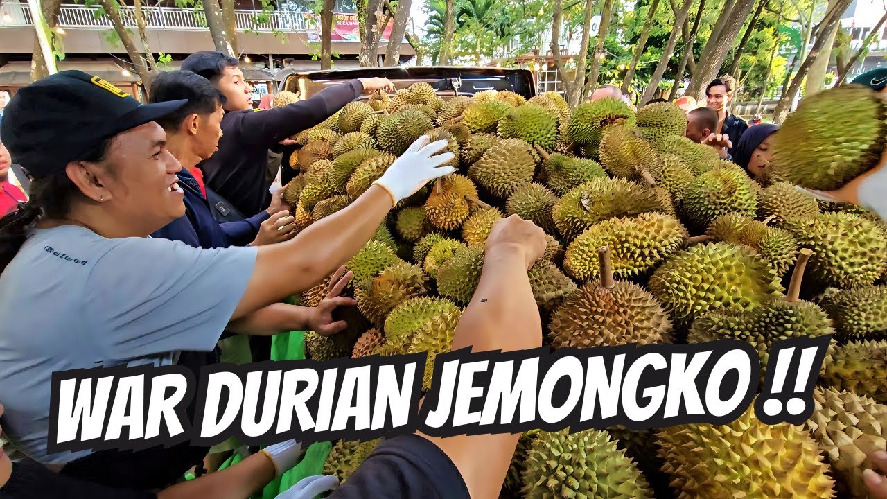 MUSIM DURIAN TELAH TIBA !! WARGA PONTIANAK REBUTAN MEMBELI DURIAN JEMONGKO