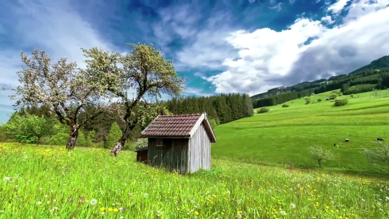 Mehr Allgäu, mehr Herz - erlebe Nesselwang mittendrin
