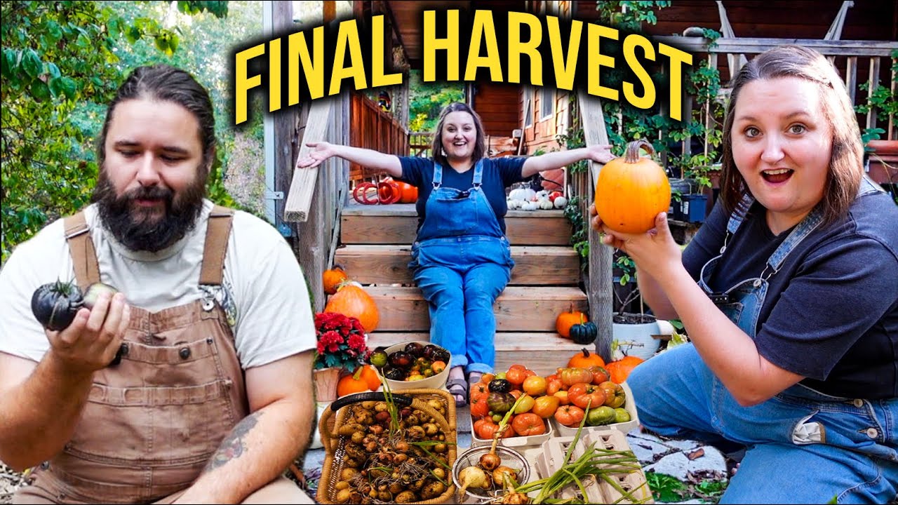 FINAL GARDEN HARVEST | HOMESTEAD DAY IN THE LIFE