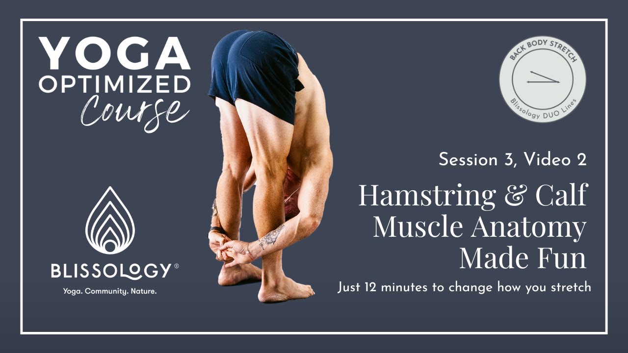 Анатомия подколенных сухожилий и икроножных мышц в увлекательной форме: йога под контролем