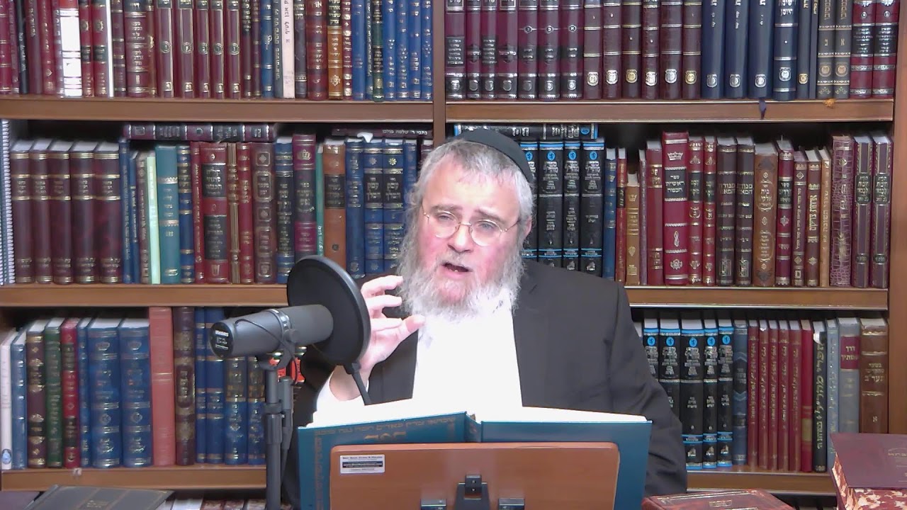 Beyond Letters2:Paths to Approaching Sacred Torah Text &Staying Connected to Its Light (1)Rav Pinson