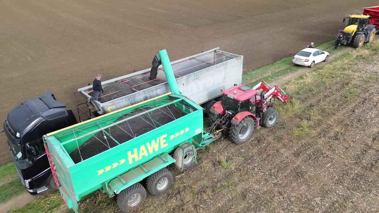 John Deere T660 Hawe 2500  Harvest sunflower 2025