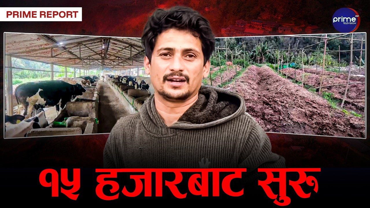 तनहुँको बन्दिपुर–५ याम्पामा सञ्चालित भट्टराई मल्टि एग्रो फार्म सफल कृषि उद्यमको उदाहरण | Prime TV HD
