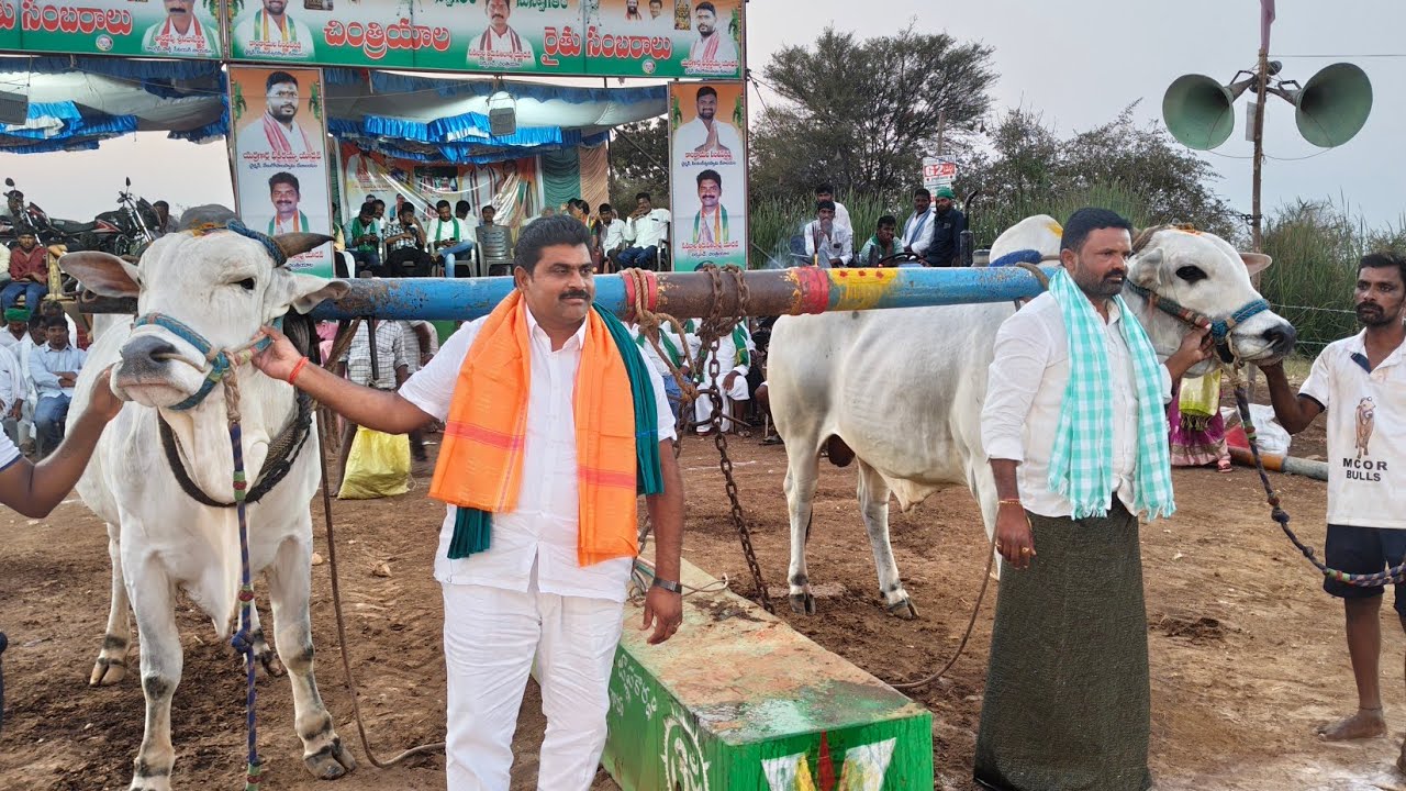 చింత్రయాల 4వ జత వార్తల చంద్రఓబుల్ రెడ్డి గారు చౌటుపల్లి ( మచ్చల పులి కారం జయ )