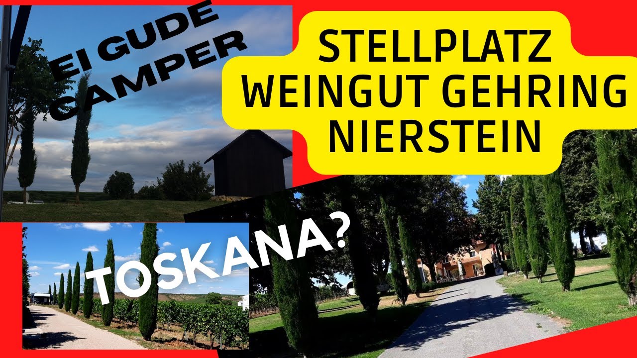 Wohnmobilstellplatz am Weingut Gehring in Nierstein