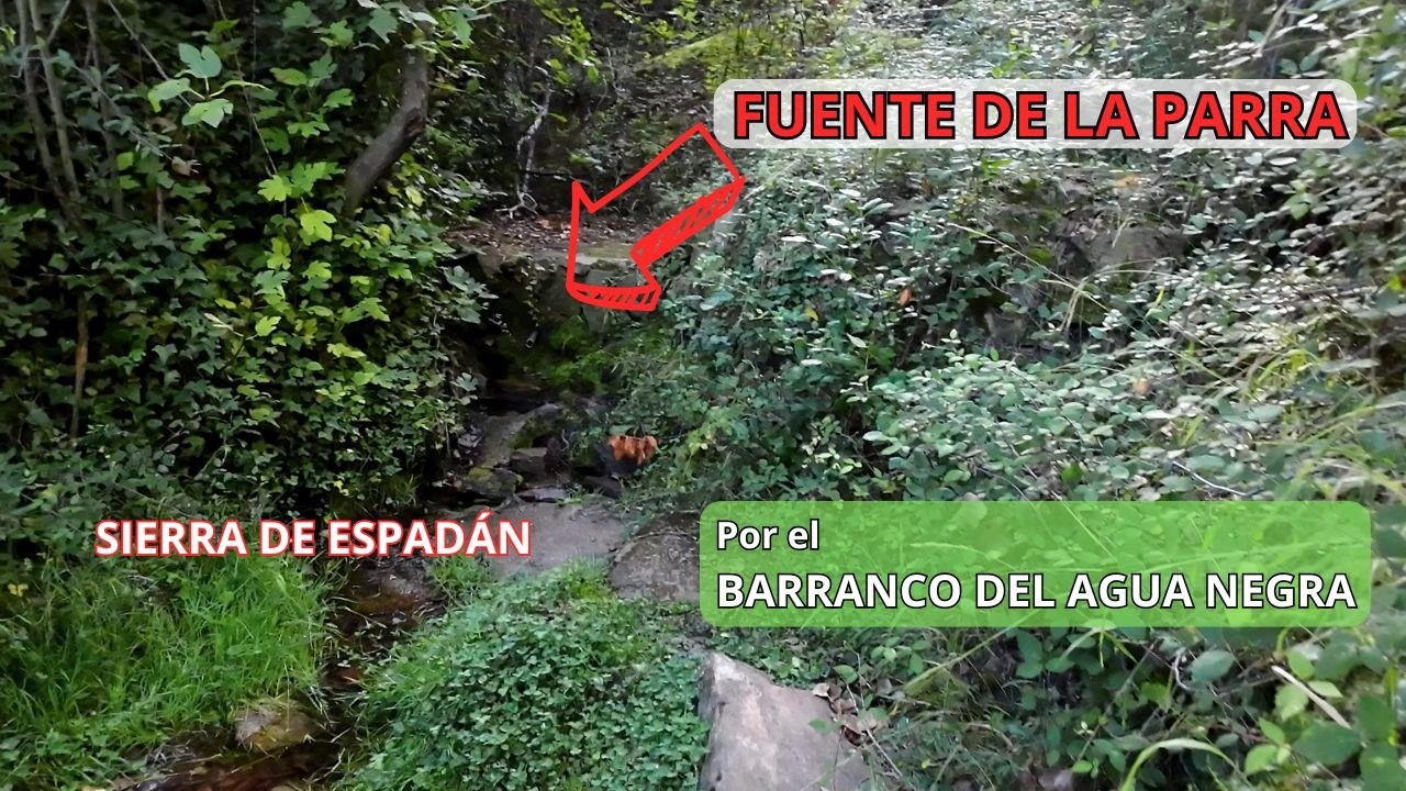 BARRANCO DEL AGUA NEGRA Y FUENTE DE LA PARRA - RUTA 5